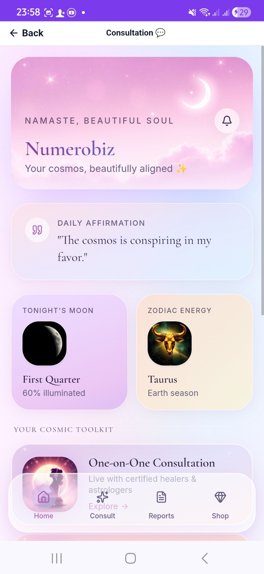 Consultation · live with certified healers & astrologers 24/7
